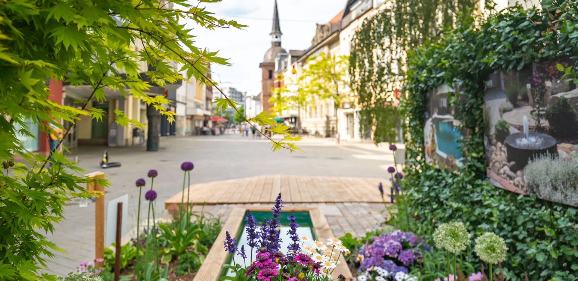 Der Blick aus einem Stadtgarten in Richtung Lappan aus dem Jahr 2019.