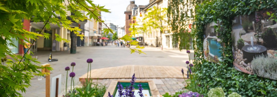 Der Blick aus einem Stadtgarten in Richtung Lappan aus dem Jahr 2019.